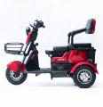  Forte Family-P600 